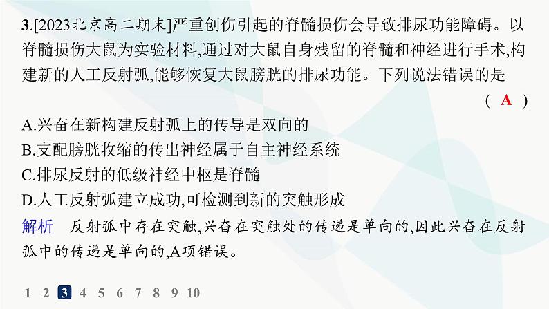 人教A版高中生物选择性必修1稳态与调节第2章神经调节第4节神经系统的分级调节分层作业课件04