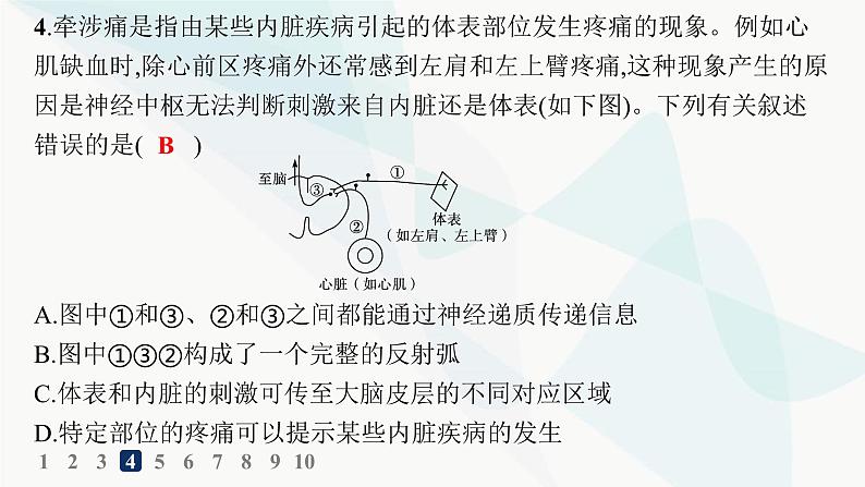 人教A版高中生物选择性必修1稳态与调节第2章神经调节第4节神经系统的分级调节分层作业课件05