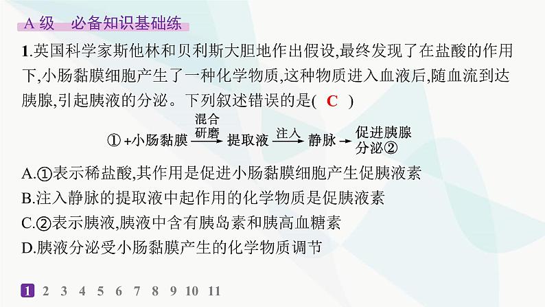 人教A版高中生物选择性必修1稳态与调节第3章体液调节第1节激素与内分泌系统分层作业课件第2页