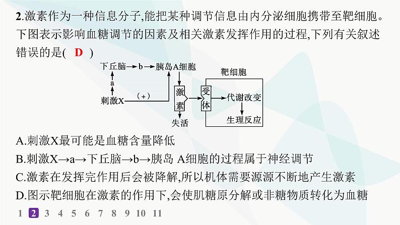 人教A版高中生物选择性必修1稳态与调节第3章体液调节第2节激素调节的过程分层作业本课件第3页