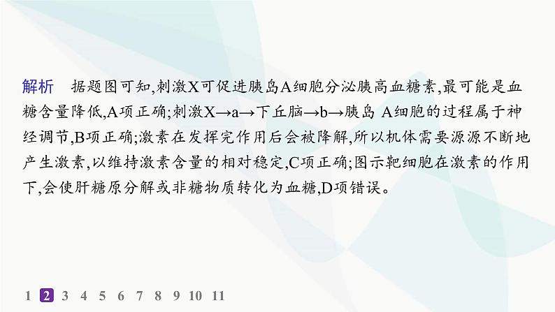 人教A版高中生物选择性必修1稳态与调节第3章体液调节第2节激素调节的过程分层作业本课件第4页