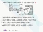 人教A版高中生物选择性必修1稳态与调节第3章体液调节第2节激素调节的过程分层作业本课件