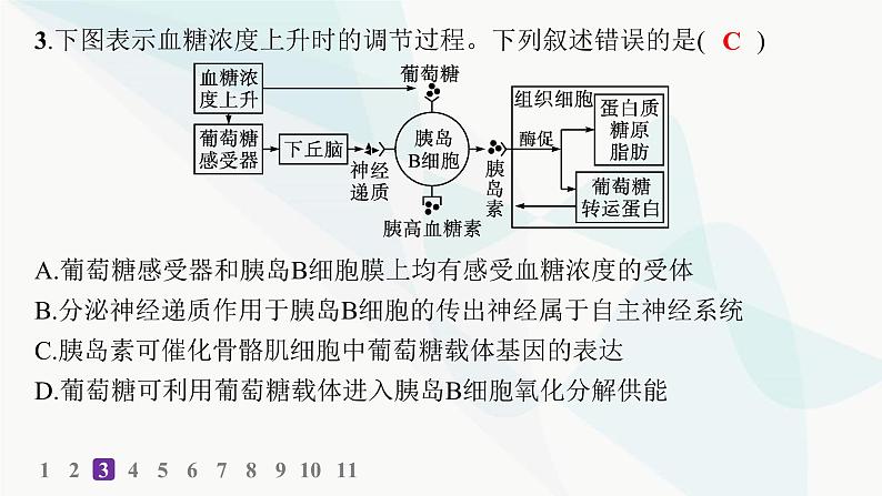 人教A版高中生物选择性必修1稳态与调节第3章体液调节第2节激素调节的过程分层作业本课件第5页