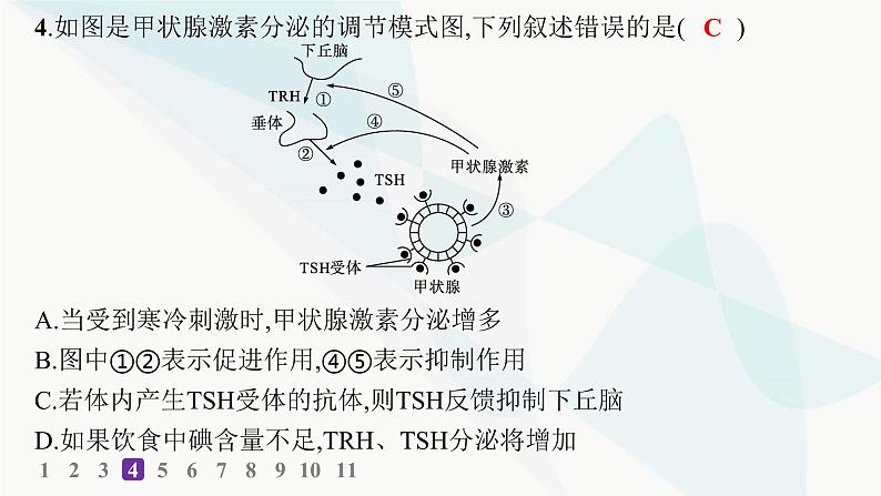 人教A版高中生物选择性必修1稳态与调节第3章体液调节第2节激素调节的过程分层作业本课件第7页