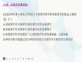 人教A版高中生物选择性必修1稳态与调节第3章体液调节第3节体液调节与神经调节的关系分层作业课件