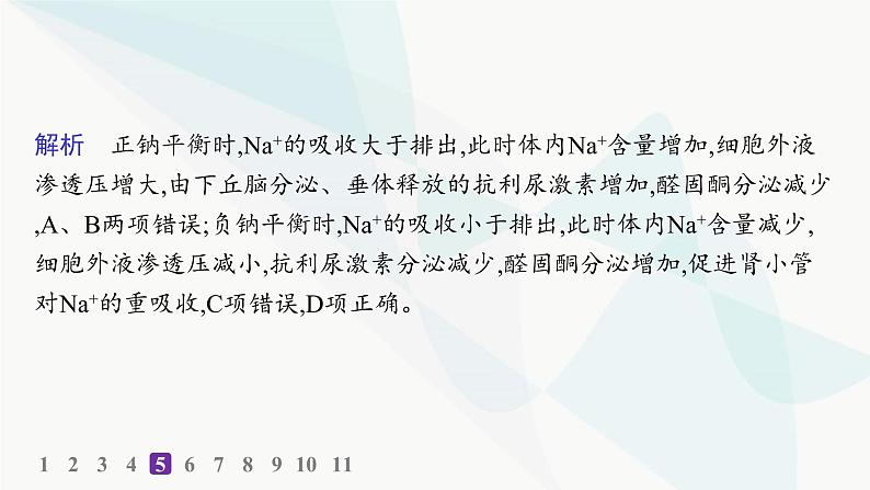 人教A版高中生物选择性必修1稳态与调节第3章体液调节第3节体液调节与神经调节的关系分层作业课件第8页