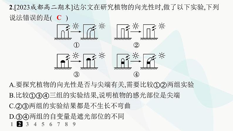 人教A版高中生物选择性必修1稳态与调节第5章植物生命活动的调节第1节植物生长素分层作业课件04