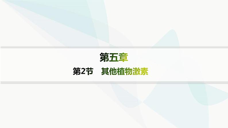 人教A版高中生物选择性必修1稳态与调节第5章植物生命活动的调节第2节其他植物激素分层作业课件01