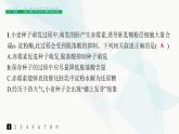 人教A版高中生物选择性必修1稳态与调节第5章植物生命活动的调节第2节其他植物激素分层作业课件