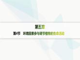 人教A版高中生物选择性必修1稳态与调节第5章植物生命活动的调节第4节环境因素参与调节植物的生命活动分层作业课件