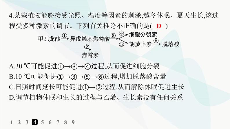 人教A版高中生物选择性必修1稳态与调节第5章植物生命活动的调节第4节环境因素参与调节植物的生命活动分层作业课件08