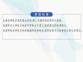 人教A版高中生物选择性必修1稳态与调节第2章神经调节第1节神经调节的结构基础课件
