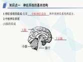 人教A版高中生物选择性必修1稳态与调节第2章神经调节第1节神经调节的结构基础课件