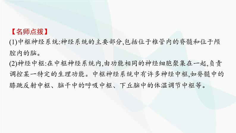 人教A版高中生物选择性必修1稳态与调节第2章神经调节第1节神经调节的结构基础课件第7页