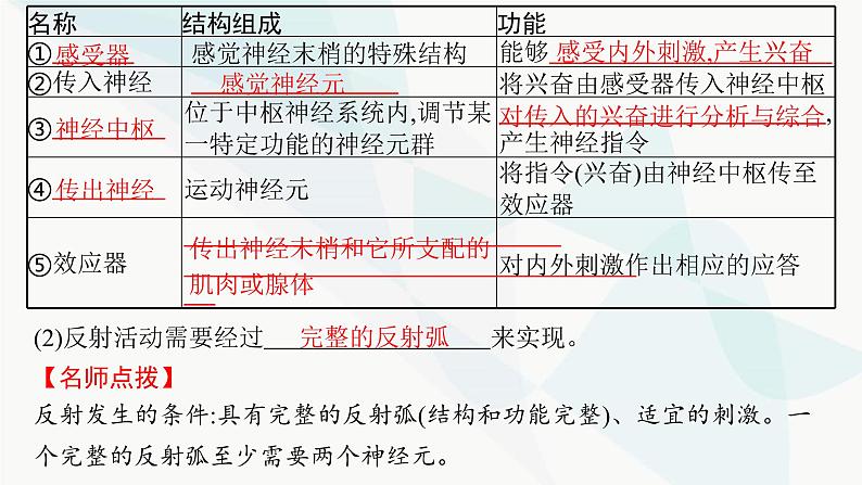 人教A版高中生物选择性必修1稳态与调节第2章神经调节第2节神经调节的基本方式课件07