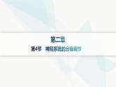 人教A版高中生物选择性必修1稳态与调节第2章神经调节第4节神经系统的分级调节课件