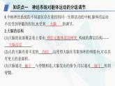 人教A版高中生物选择性必修1稳态与调节第2章神经调节第4节神经系统的分级调节课件