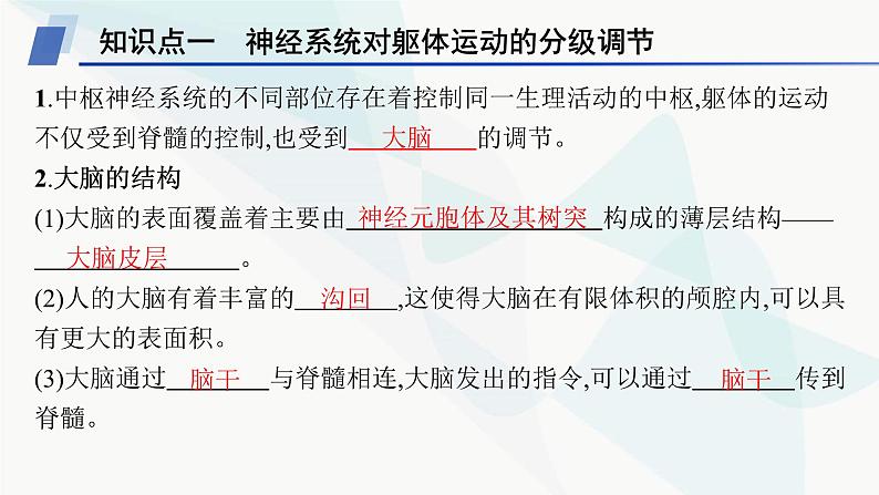 人教A版高中生物选择性必修1稳态与调节第2章神经调节第4节神经系统的分级调节课件第5页