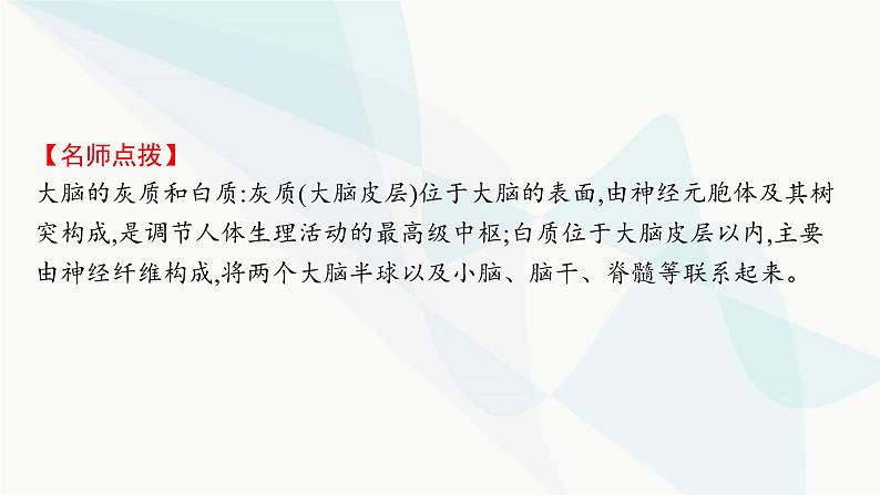 人教A版高中生物选择性必修1稳态与调节第2章神经调节第4节神经系统的分级调节课件第6页