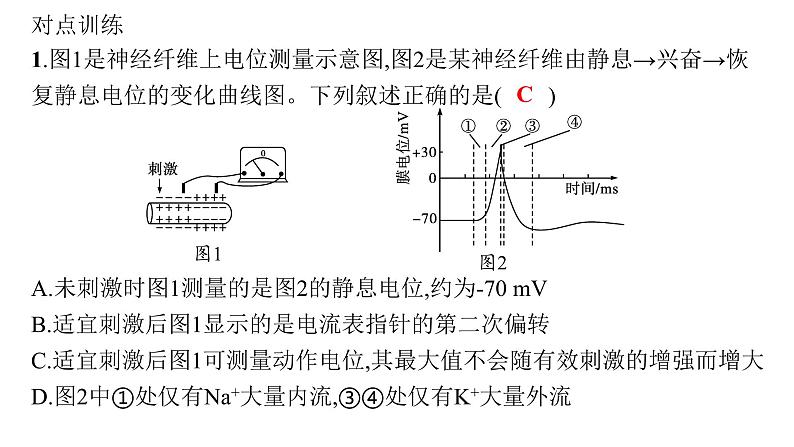 人教A版高中生物选择性必修1稳态与调节第2章神经调节微专题(一)电表指针偏转问题分析及兴奋传导特点的实验探究课件03