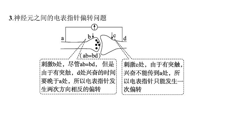 人教A版高中生物选择性必修1稳态与调节第2章神经调节微专题(一)电表指针偏转问题分析及兴奋传导特点的实验探究课件07