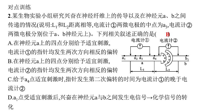 人教A版高中生物选择性必修1稳态与调节第2章神经调节微专题(一)电表指针偏转问题分析及兴奋传导特点的实验探究课件08