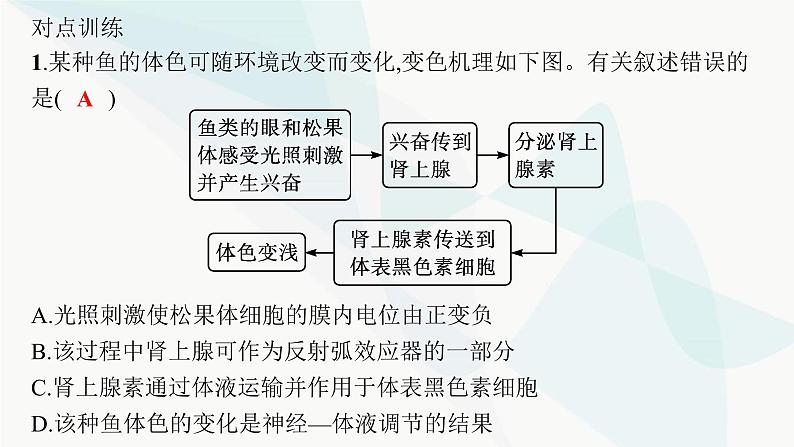 人教A版高中生物选择性必修1稳态与调节第3章体液调节微专题(二) 动物生命活动调节类型及下丘脑课件第4页