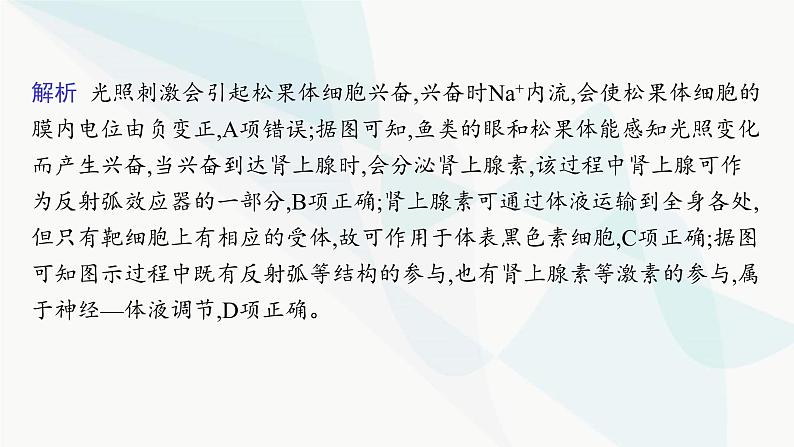 人教A版高中生物选择性必修1稳态与调节第3章体液调节微专题(二) 动物生命活动调节类型及下丘脑课件第5页