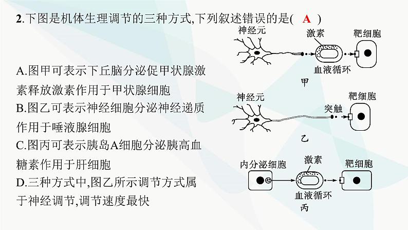 人教A版高中生物选择性必修1稳态与调节第3章体液调节微专题(二) 动物生命活动调节类型及下丘脑课件第6页