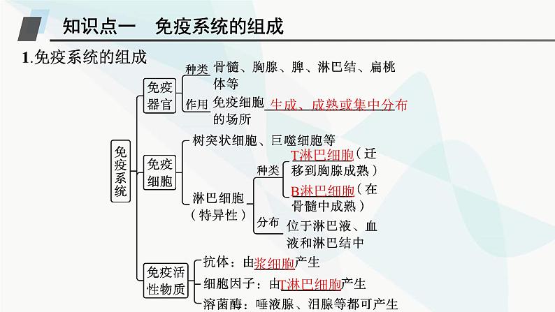 人教A版高中生物选择性必修1稳态与调节第4章免疫调节第1节免疫系统的组成和功能课件05