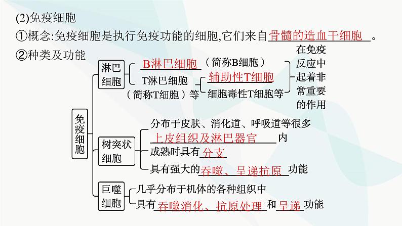 人教A版高中生物选择性必修1稳态与调节第4章免疫调节第1节免疫系统的组成和功能课件07