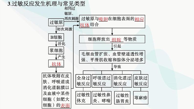 人教A版高中生物选择性必修1稳态与调节第4章免疫调节第3节免疫失调课件06