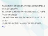 人教A版高中生物選擇性必修1穩(wěn)態(tài)與調節(jié)第4章免疫調節(jié)微專題(三)特異性免疫相關實驗的常用研究方法課件