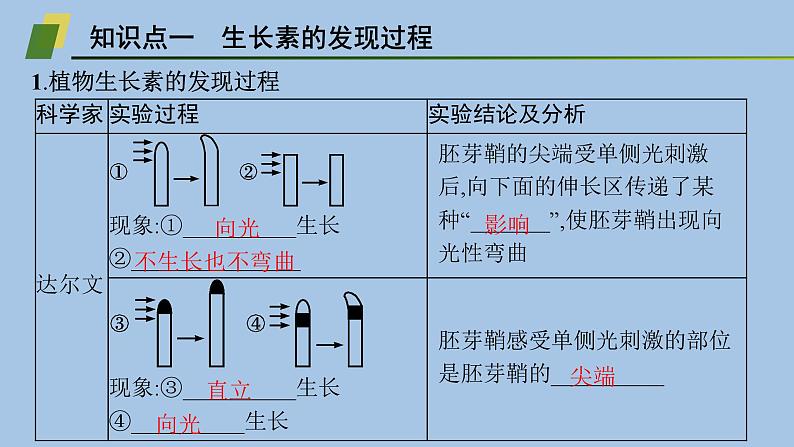 人教A版高中生物选择性必修1稳态与调节第5章植物生命活动的调节第1节植物生长素课件05