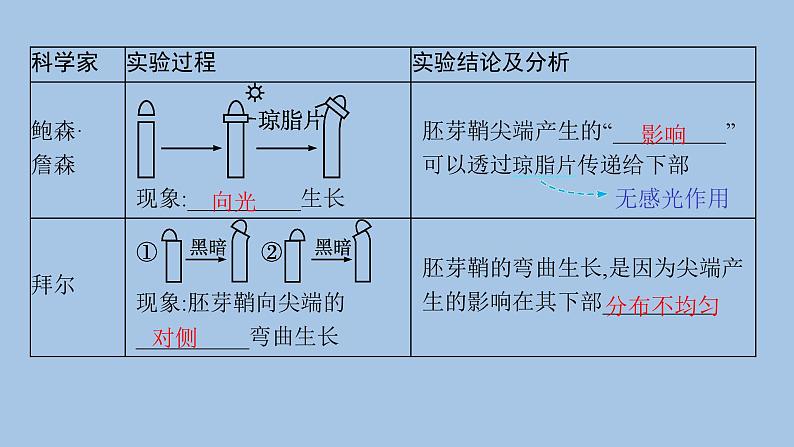 人教A版高中生物选择性必修1稳态与调节第5章植物生命活动的调节第1节植物生长素课件06