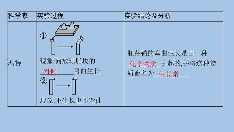 人教A版高中生物选择性必修1稳态与调节第5章植物生命活动的调节第1节植物生长素课件07