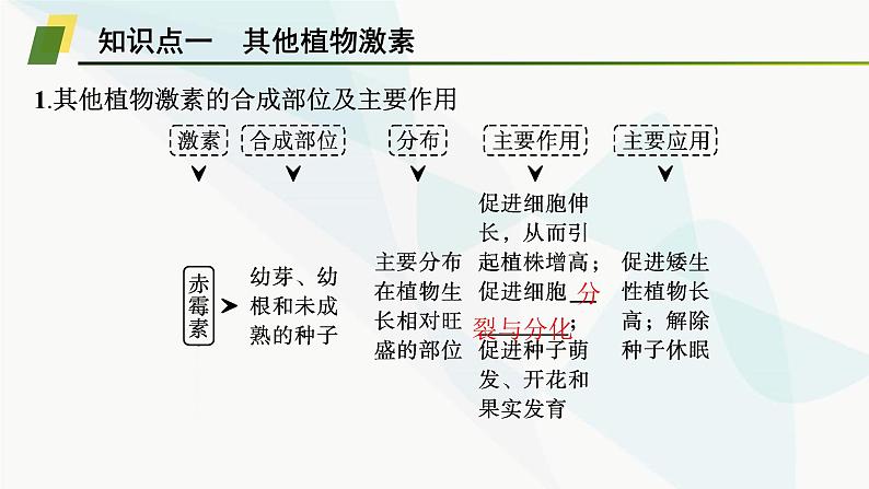 人教A版高中生物选择性必修1稳态与调节第5章植物生命活动的调节第2节其他植物激素课件05