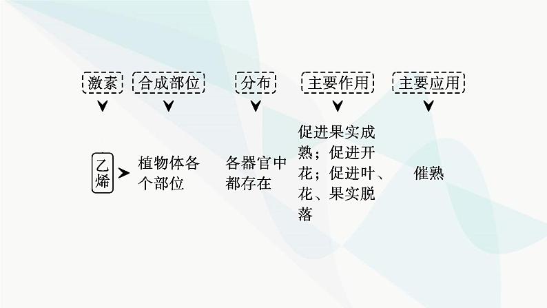 人教A版高中生物选择性必修1稳态与调节第5章植物生命活动的调节第2节其他植物激素课件07