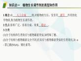 人教A版高中生物选择性必修1稳态与调节第5章植物生命活动的调节第3节植物生长调节剂的应用课件