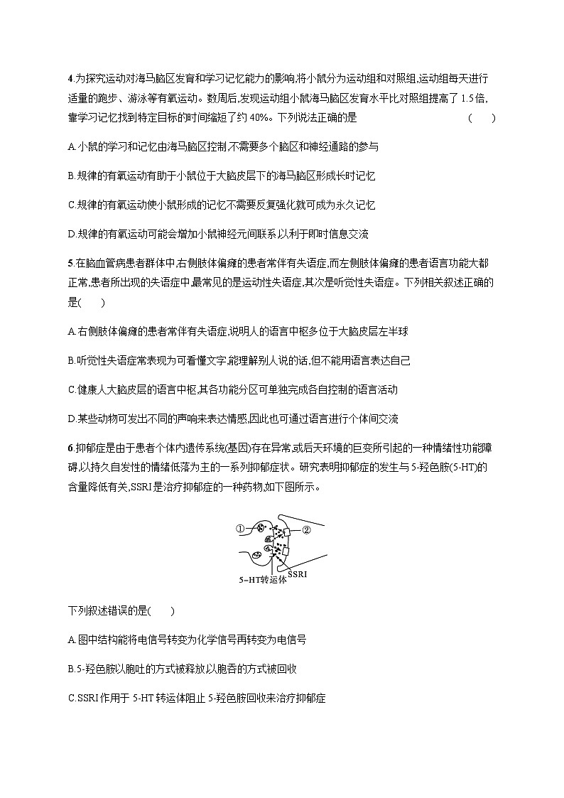 人教A版高中生物选择性必修1稳态与调节第2章神经调节第5节人脑的高级功能练习含答案第2页