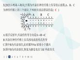 人教A版高中生物选择性必修1稳态与调节第2章神经调节第3节第1课时兴奋在神经纤维上的传导分层作业课件