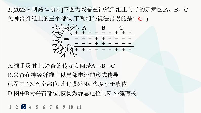 人教A版高中生物选择性必修1稳态与调节第2章神经调节第3节第1课时兴奋在神经纤维上的传导分层作业课件05