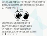 人教A版高中生物选择性必修1稳态与调节第4章免疫调节第2节第1课时体液免疫分层作业课件