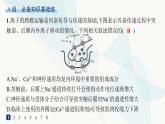 人教A版高中生物选择性必修1稳态与调节第2章神经调节第3节第2课时兴奋在神经元之间的传递和滥用兴奋剂、吸食毒品的危害分层作业课件