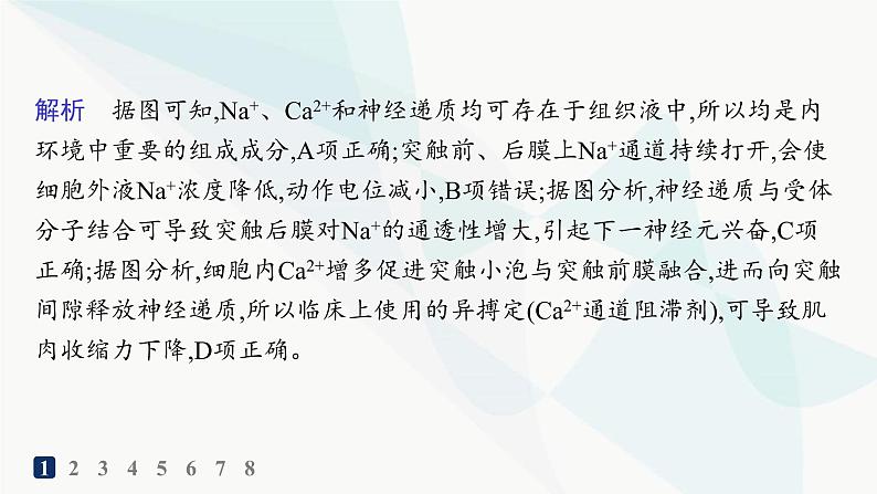 人教A版高中生物选择性必修1稳态与调节第2章神经调节第3节第2课时兴奋在神经元之间的传递和滥用兴奋剂、吸食毒品的危害分层作业课件03