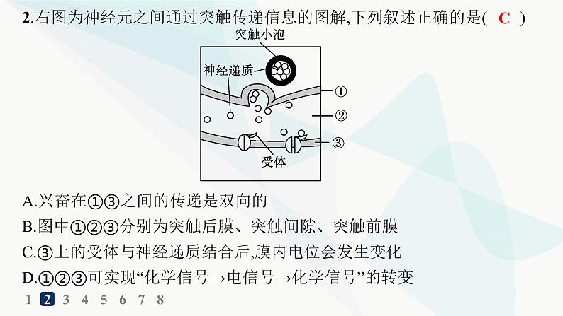 人教A版高中生物选择性必修1稳态与调节第2章神经调节第3节第2课时兴奋在神经元之间的传递和滥用兴奋剂、吸食毒品的危害分层作业课件04