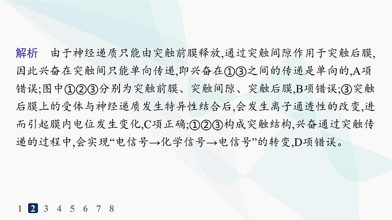 人教A版高中生物选择性必修1稳态与调节第2章神经调节第3节第2课时兴奋在神经元之间的传递和滥用兴奋剂、吸食毒品的危害分层作业课件05