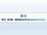 人教A版高中生物选择性必修1稳态与调节第4章免疫调节第2节第2课时细胞免疫及体液免疫和细胞免疫的协调配合分层作业课件