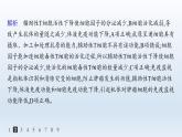 人教A版高中生物选择性必修1稳态与调节第4章免疫调节第2节第2课时细胞免疫及体液免疫和细胞免疫的协调配合分层作业课件