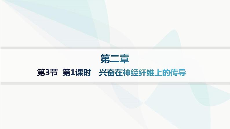 人教A版高中生物选择性必修1稳态与调节第2章神经调节第3节第1课时兴奋在神经纤维上的传导课件01